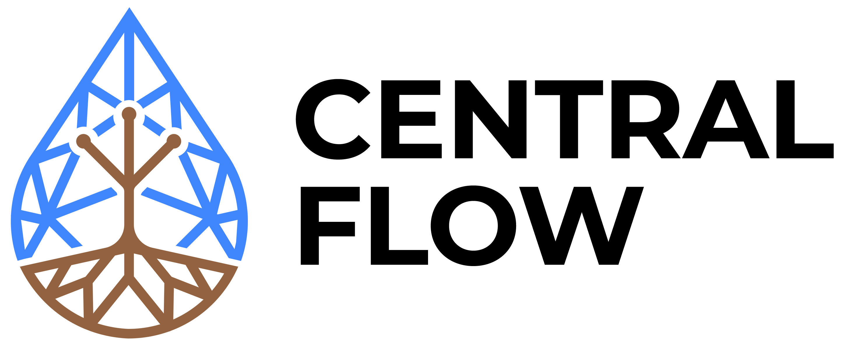 CentralFlow Logo